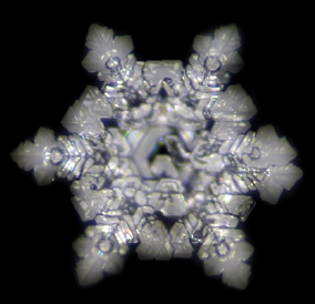 width=200